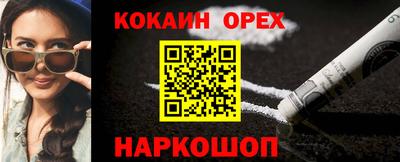 сатива Новозыбков