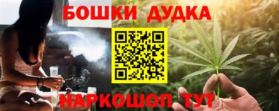 сатива Новозыбков