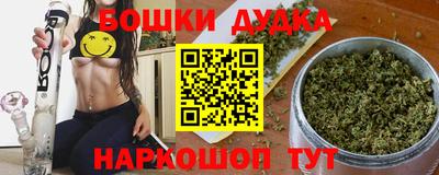 сатива Новозыбков